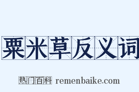 粟米草反义词是什么意思的图片